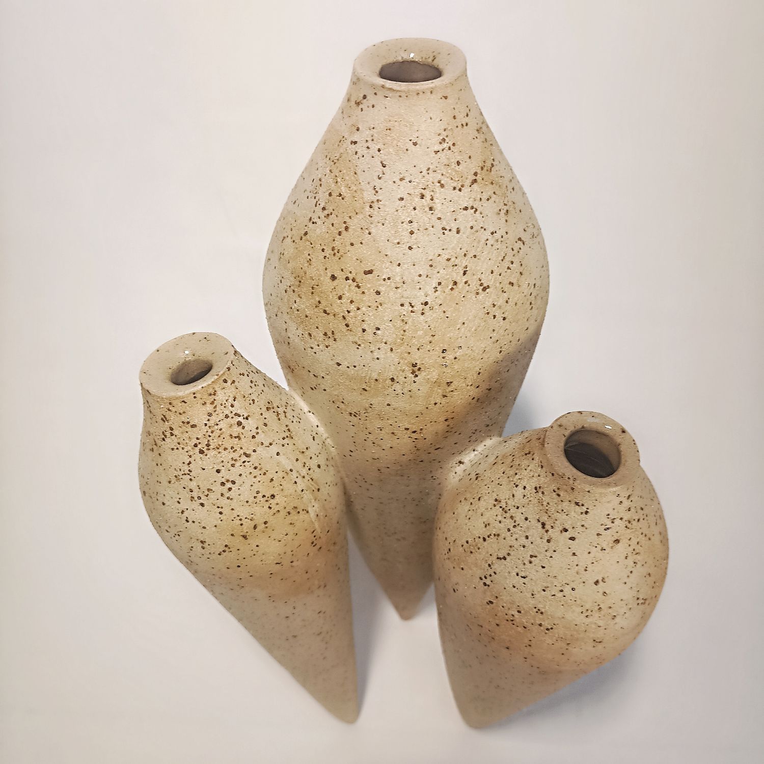 Klemans polyphore pyrite.jpg